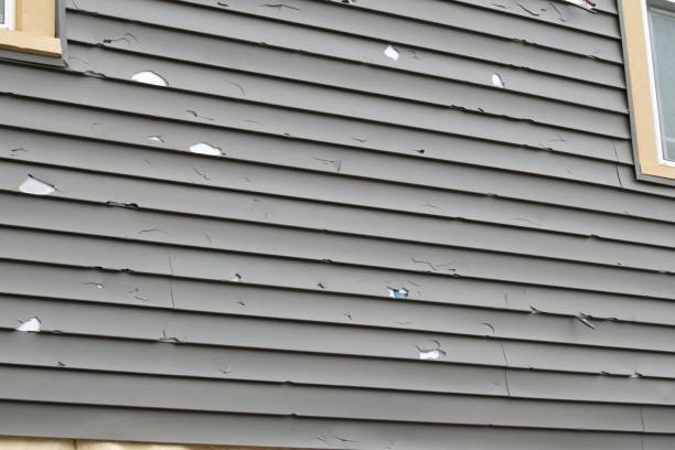Best Steel Siding Installation  in Maysville, NC