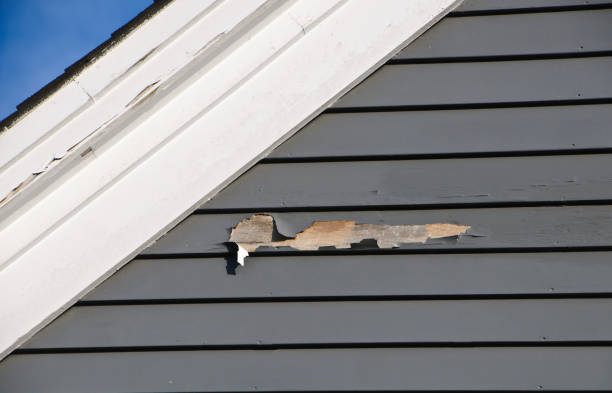 Affordable siding repair and maintenance services in Maysville, NC